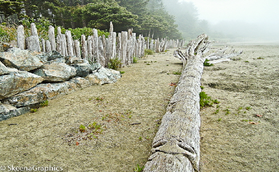 NRGH_PTU_Aboriginal-39